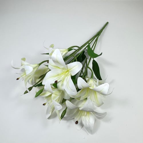 ورد كازابلانكا (ليليوم)