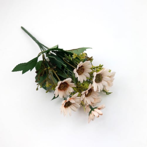 ورد تباع الشمس بيبي