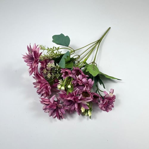 ورد بيبي جربيرا