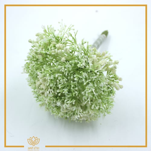 جبسوفيليا ملون