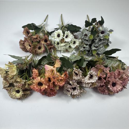 ورد بيبي جربيرا