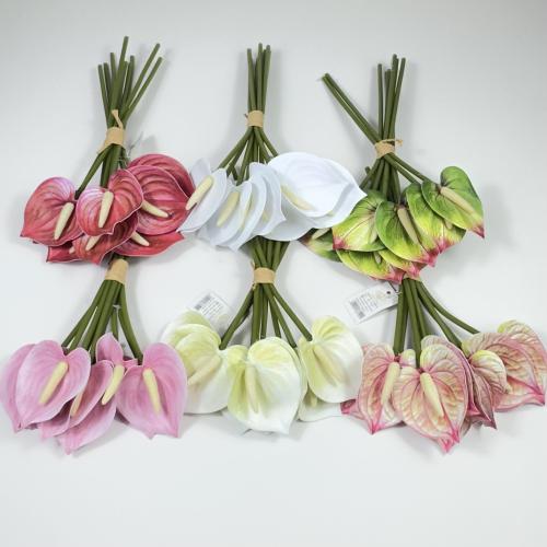 ورد انثريوم بيبي