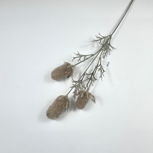 اغصان تنسيق ريفية