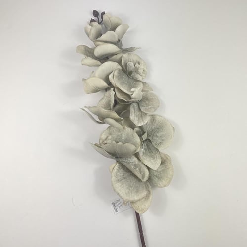 أوركيد قطيفة فاخرة بتصميم واقعي