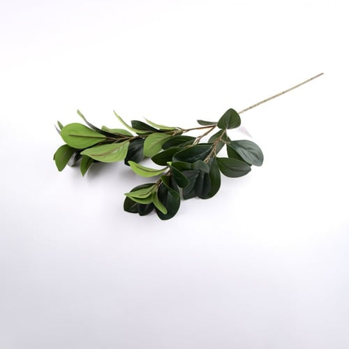 اغصان الليمون