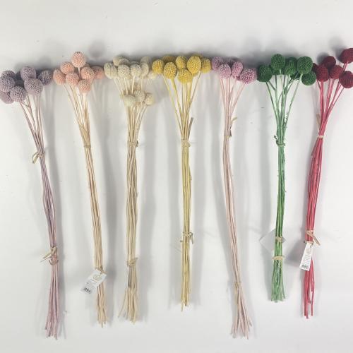 اغصان مجففة ملونة أنيقة