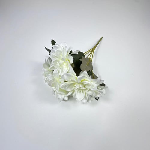 ورد بيبي داليا