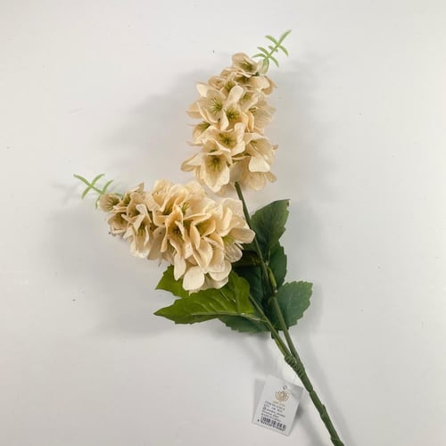 اغصان دولفينيوم قطيفة