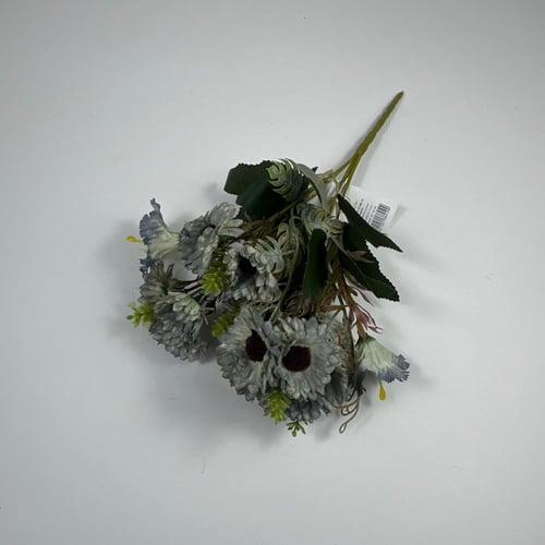 ورد بيبي جربيرا