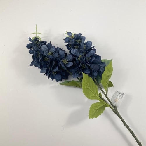 اغصان دولفينيوم قطيفة