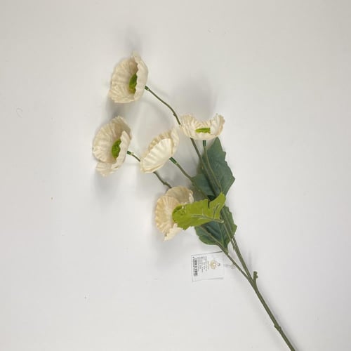 اغصان الخشخاش قطيفة