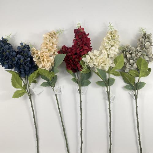 اغصان دولفينيوم قطيفة