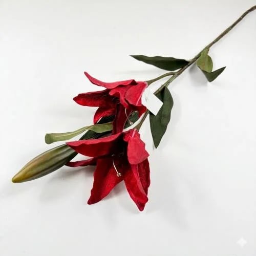 اغصان تنسيق