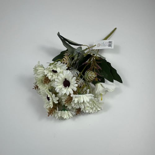 ورد بيبي جربيرا