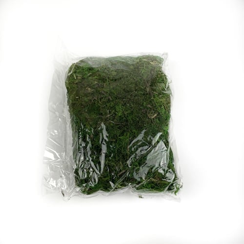 عشب اخضر طبيعي (100 جرام)