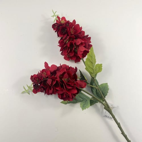 اغصان دولفينيوم قطيفة