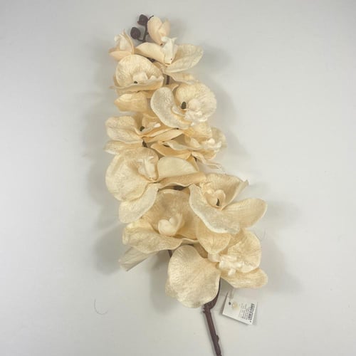 أوركيد قطيفة فاخرة بتصميم واقعي