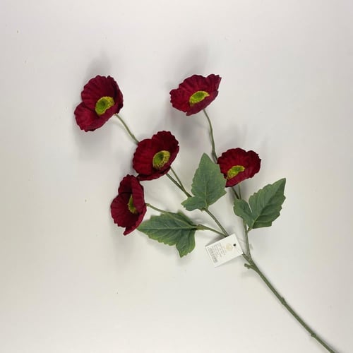 اغصان الخشخاش قطيفة