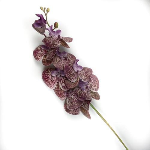 اوركيد صناعي