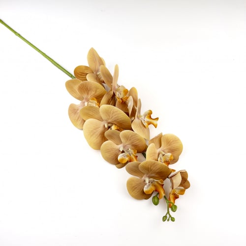 اوركيد صناعي