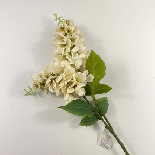 اغصان دولفينيوم قطيفة