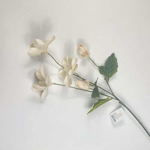 اغصان الفل قطيفة