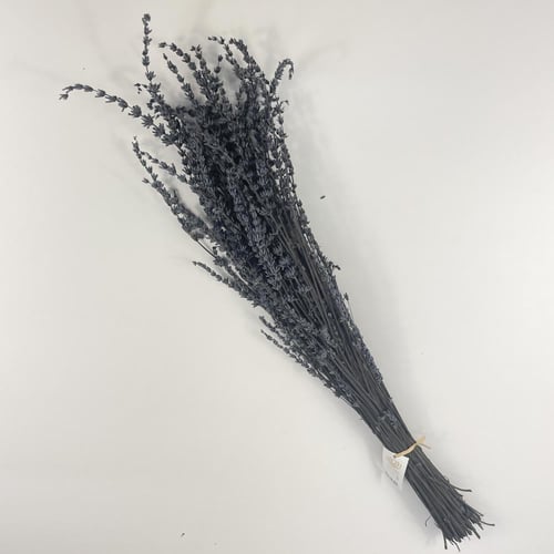 لافندر طبيعي مجفف ملون بتدرجات أنيقة