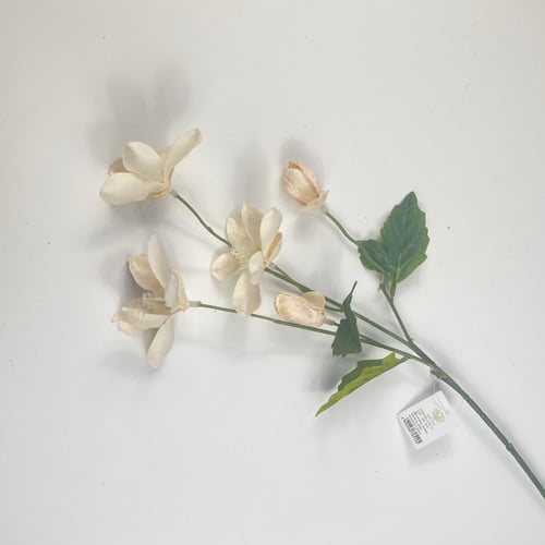 اغصان الفل قطيفة