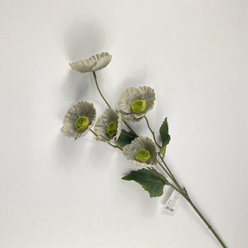 اغصان الخشخاش قطيفة