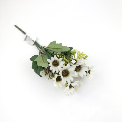 ورد تباع الشمس بيبي