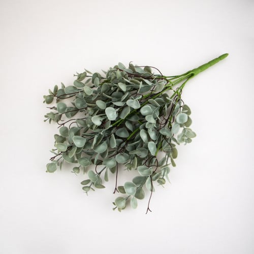 بانش كليبتوس صناعي