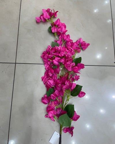 أغصان جهنمية مقاس كبير