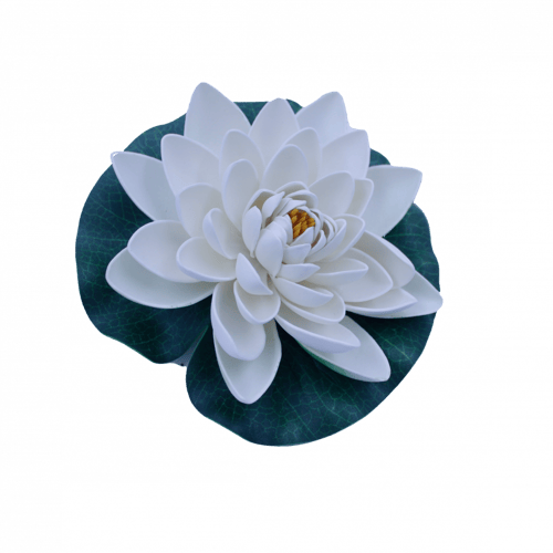 ورد مسابح فليين (وسط)