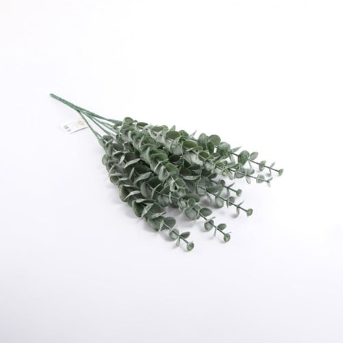 بانش كليبتوس صناعي