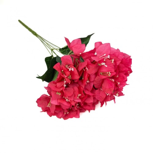 باقة ورد جهنمية