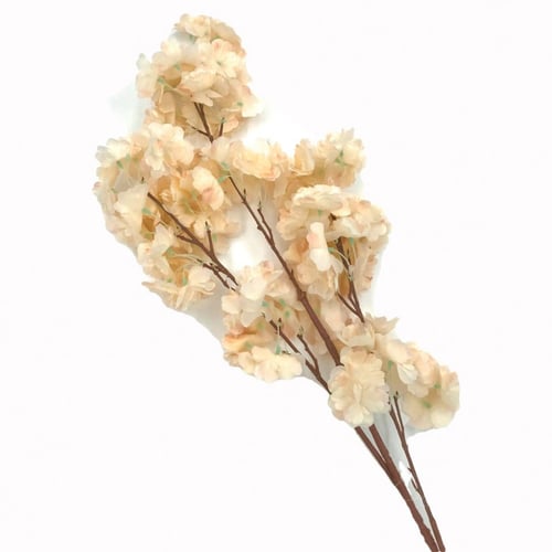 أغصان زهرة الربيع