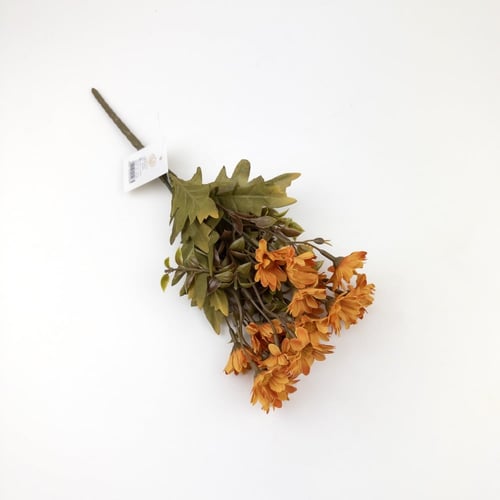 تباع الشمس بيبي