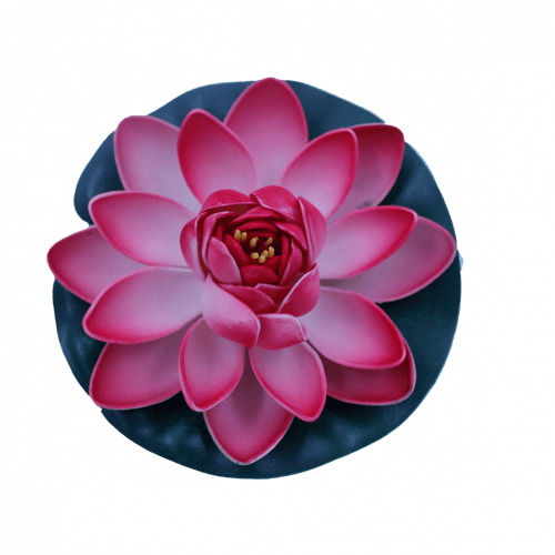 ورد مسابح فليين (صغير)