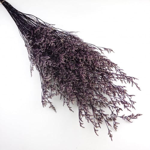 اغصان تنسيق طبيعية مجففة