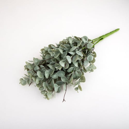 بانش كليبتوس صناعي