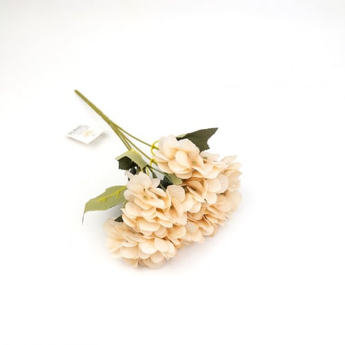 ورد بيبي هيدرنجا