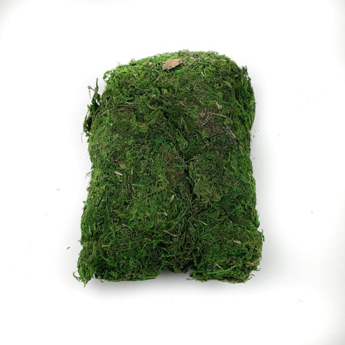 عشب اخضر طبيعي لتنسيق الورد