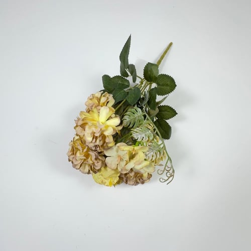 ورد بيبي كريز