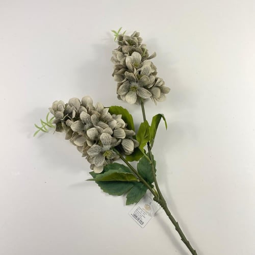 اغصان دولفينيوم قطيفة