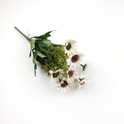 ورد تباع الشمس بيبي