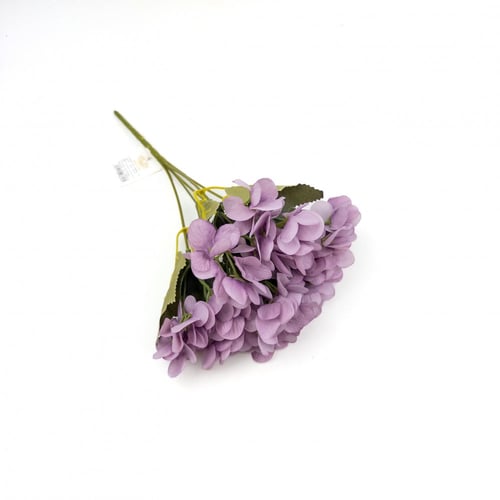 ورد بيبي هيدرنجا