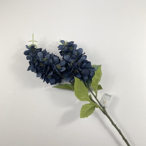 اغصان دولفينيوم قطيفة