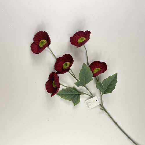 اغصان الخشخاش قطيفة