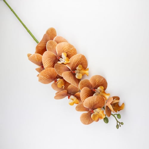 اوركيد صناعي