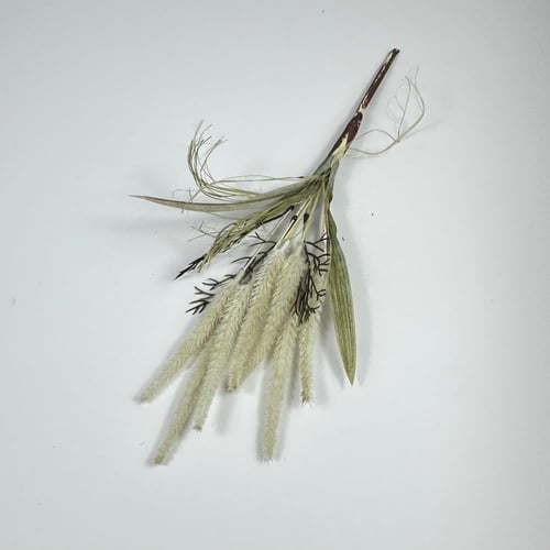 اغصان تنسيق ريفية